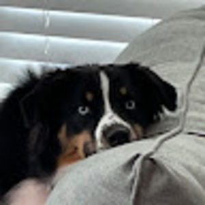 Meet your Posher, Gary